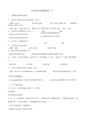 2024小升初模拟试卷（10）人教部编版（含答案）.docx