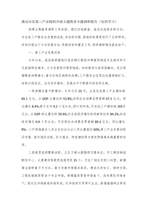 推动全县第三产业提档升级主题教育专题调研报告.docx