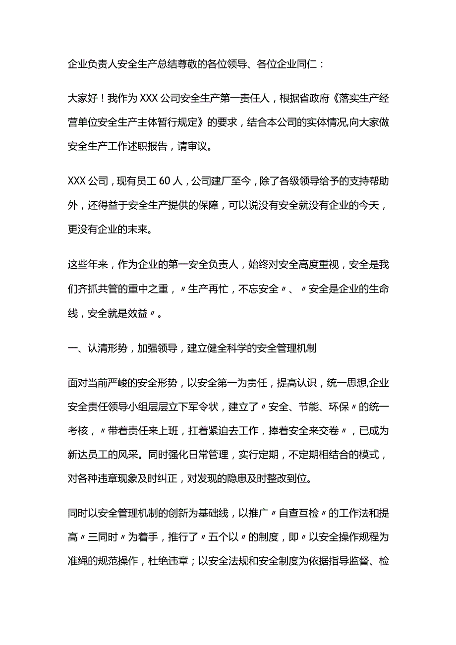 企业负责人安全生产总结全套.docx_第1页