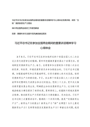 （3篇）全国两会期间的重要讲话精神学习心得体会保持“五劲”狠抓新质生产力落实党课讲稿政府工作报告解读.docx