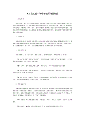 XX县实验中学骨干教师培养制度.docx