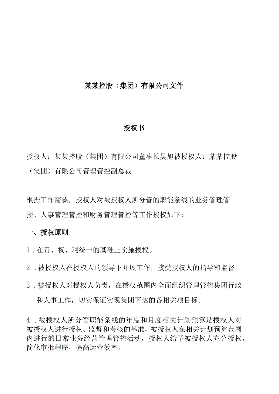 X控股企业副总裁授权书.docx_第1页