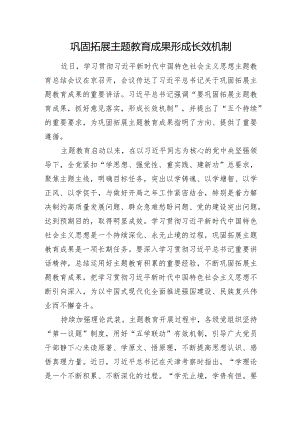 巩固拓展主题教育成果+形成长效机制.docx