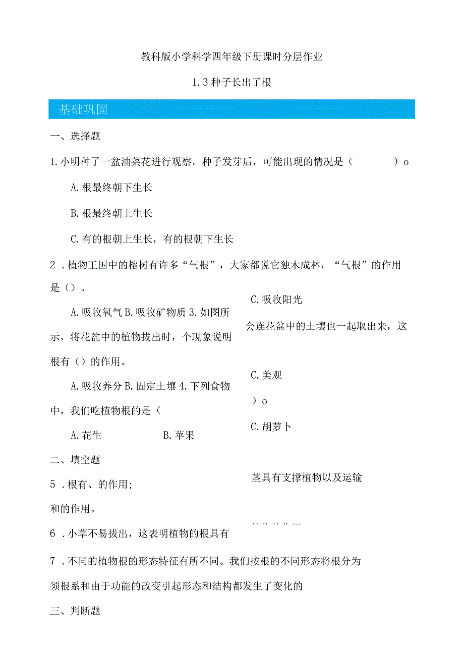 1-3种子长出了根（分层练习）四年级科学下册（教科版）.docx_第1页