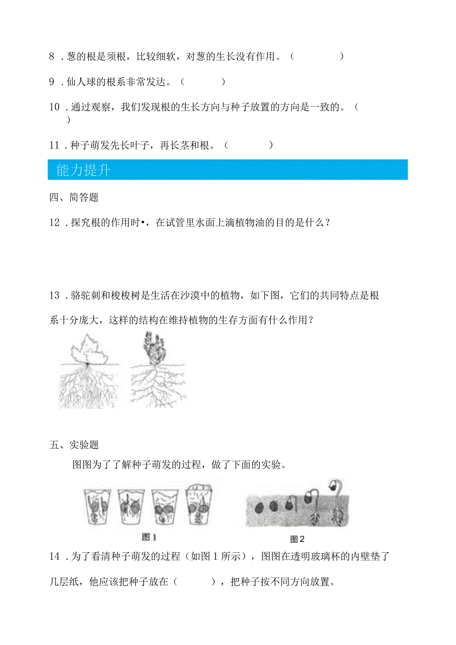 1-3种子长出了根（分层练习）四年级科学下册（教科版）.docx_第2页