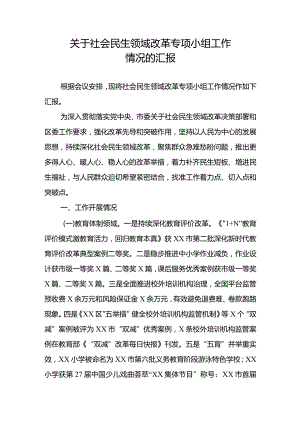 关于社会民生领域改革专项小组工作情况汇报.docx