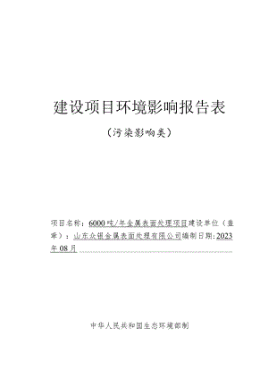 6000吨_年金属表面处理项目环评报告表.docx