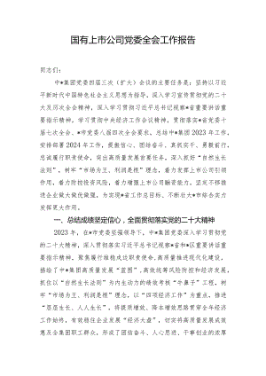 国有上市公司党委全会工作报告.docx