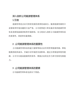 深入剖析公司能源管理体系.docx