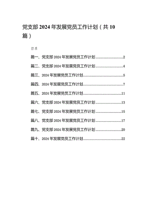 党支部2024年发展党员工作计划范文10篇（精选版）.docx