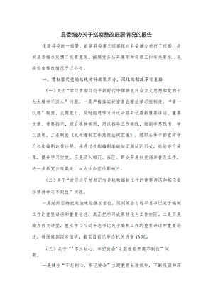 县委编办关于巡察整改进展情况的报告.docx