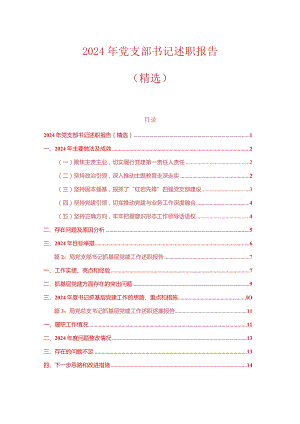 2024年党支部书记述职报告（精选）.docx