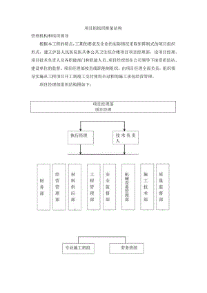 项目组组织框架结构.docx