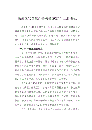 某某区安全生产委员会2024年工作要点.docx