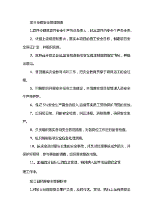 项目安全管理职责(精品).docx