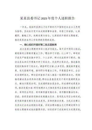 某某县委书记2023年度个人述职报告.docx