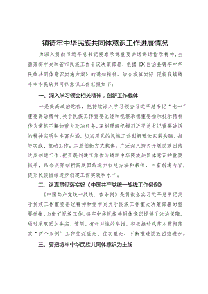 镇铸牢中华民族共同体意识工作进展情况.docx