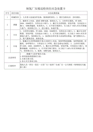 制氢厂应急处置卡模板.docx