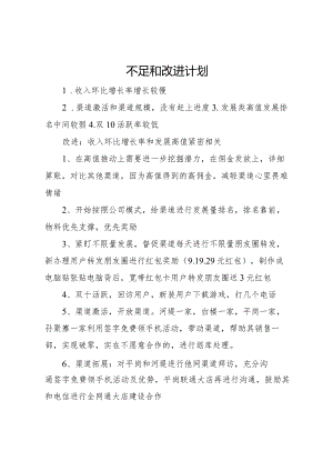 2024不足和改进计划.docx