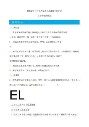 1-2种植凤仙花（分层练习）四年级科学下册（教科版）.docx