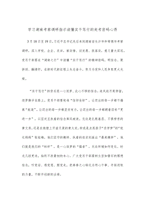 学习湖南考察调研指示读懂实干笃行的赶考密码心得.docx