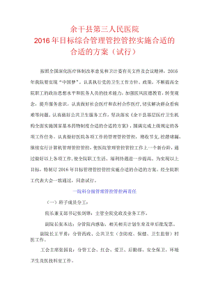 XX医院目标综合管理管控实施方案.docx