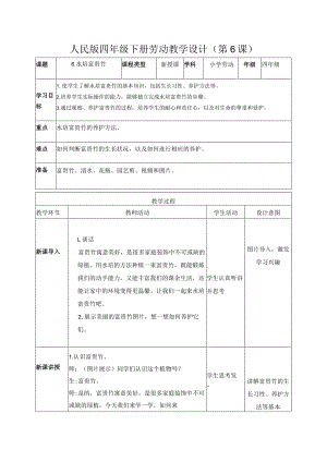 6-水培富贵竹四年级劳动下册（人民版）.docx