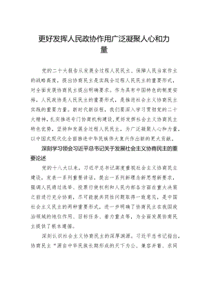 更好发挥人民政协作用广泛凝聚人心和力量.docx