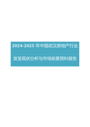 2024版中国武汉房地产行业发展现状分析与市场前景预测报告.docx