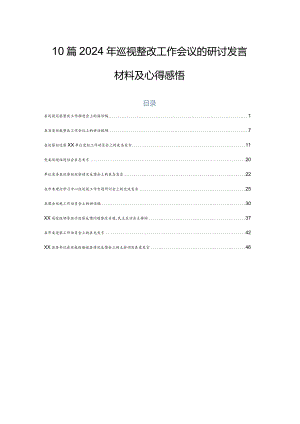 10篇2024年巡视整改工作会议的研讨发言材料及心得感悟.docx