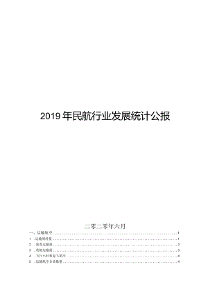 2019年民航行业发展统计公报.docx