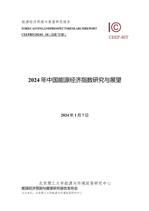 2024年中国能源经济指数研究及展望.docx