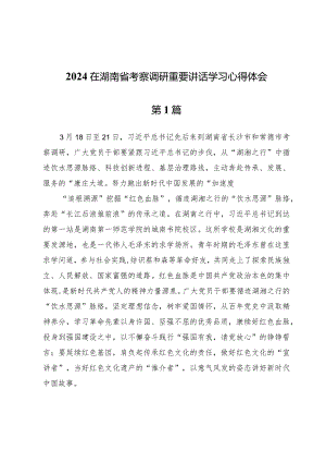 (九篇)2024在湖南省考察调研重要讲话学习心得体会.docx