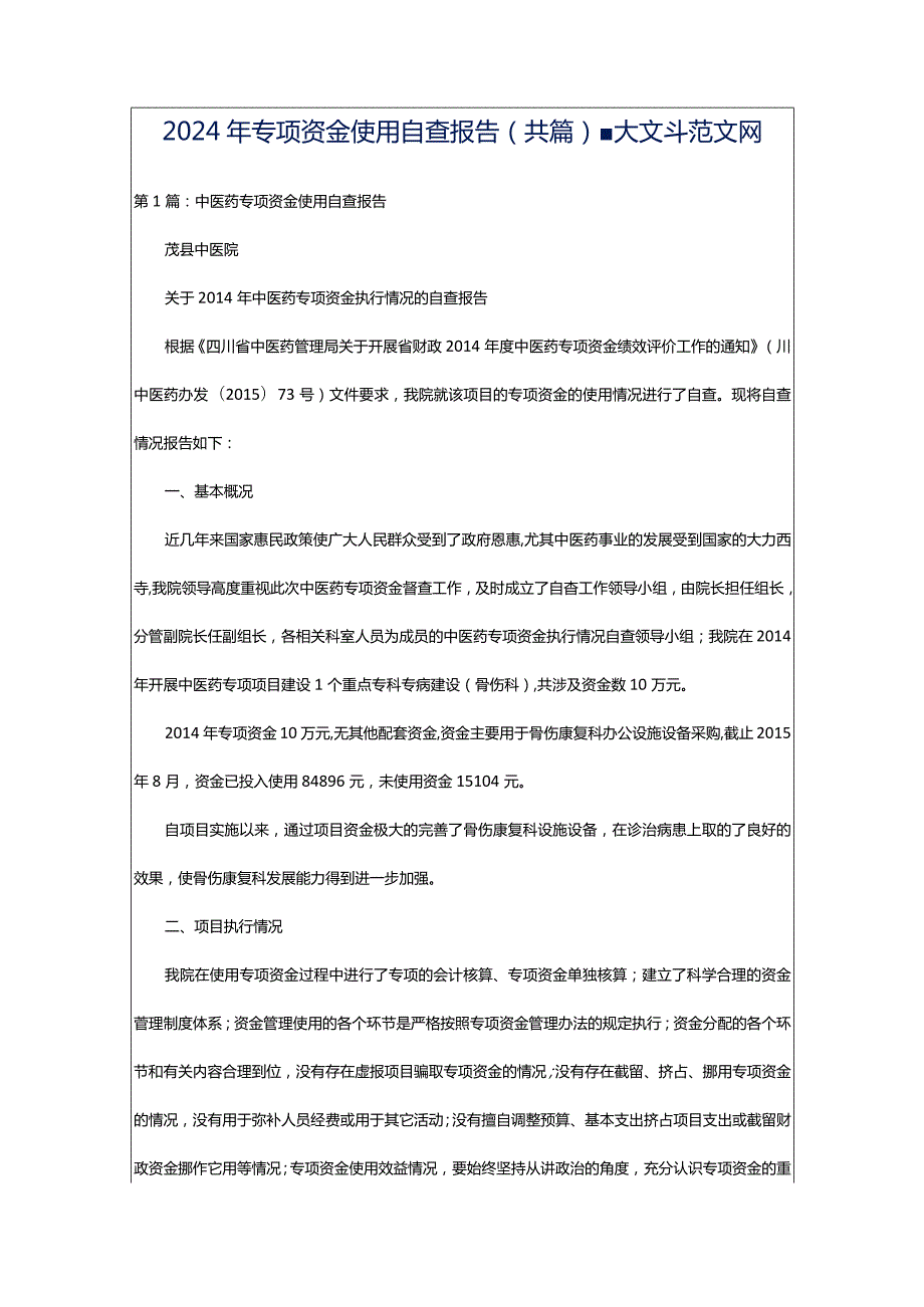 2024年专项资金使用自查报告（共篇）-大文斗范文网.docx_第1页