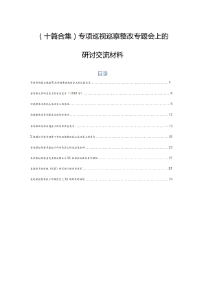 （十篇合集）专项巡视巡察整改专题会上的研讨交流材料.docx