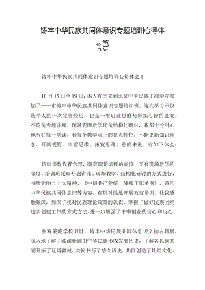 铸牢中华民族共同体意识专题培训心得体会8篇.docx