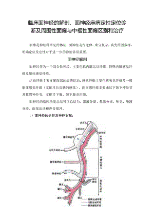 临床面神经的解剖、面神经麻痹定性定位诊断及周围性面瘫与中枢性面瘫区别和治疗.docx