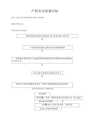 产科十大安全目标的指引与流程.docx