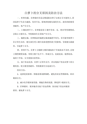 白萝卜的分叉原因及防治方法.docx