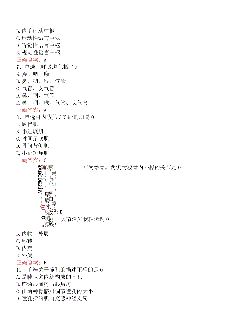 康复医学治疗技术(主管技师)：解剖学六.docx_第3页