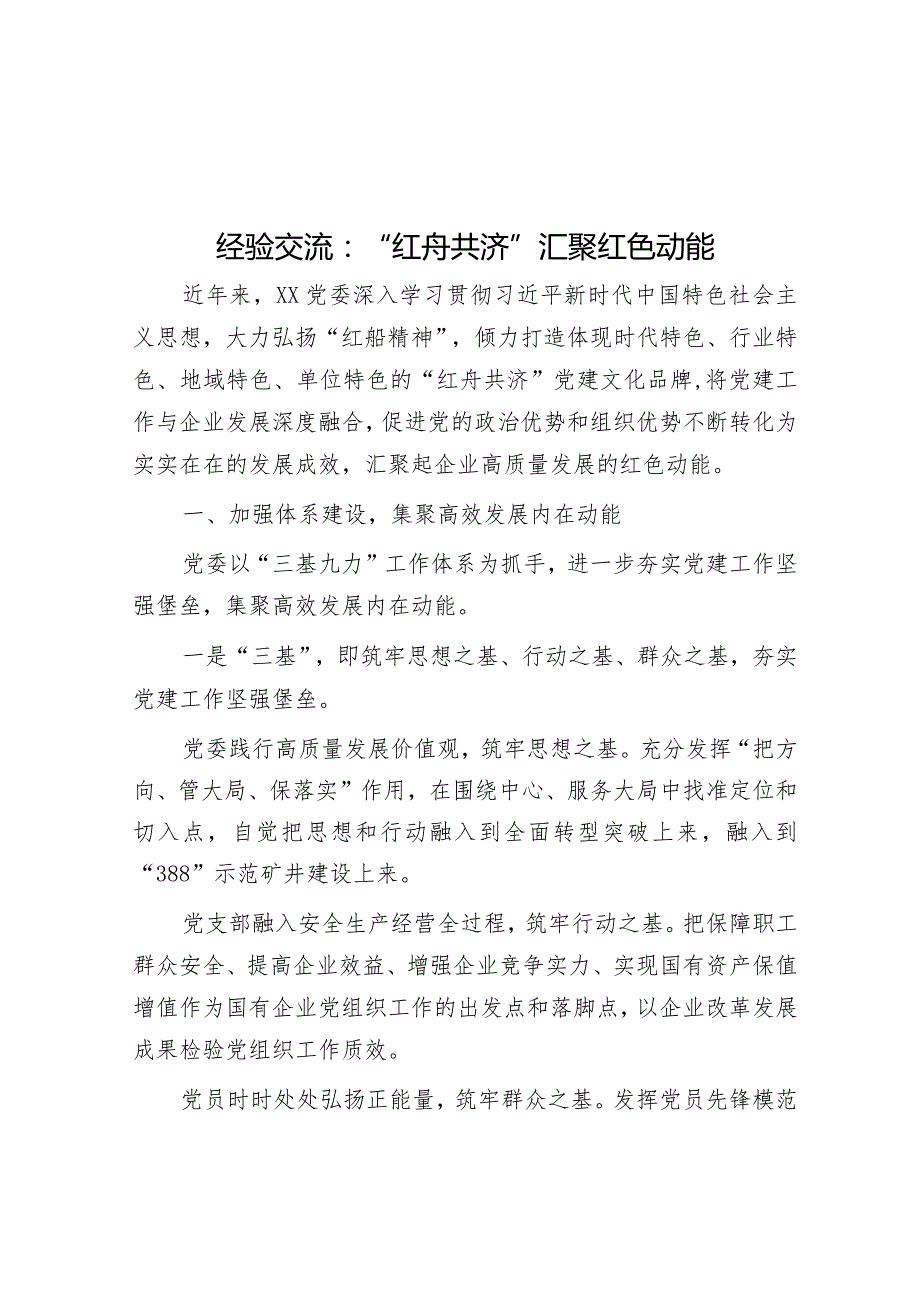 经验交流：“红舟共济”汇聚红色动能&在党委传达学习全国“两会”精神专题学习上的讲话提纲.docx_第1页