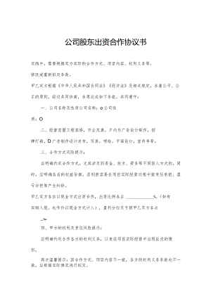 公司股东出资合作协议书.docx