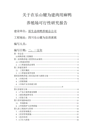 肉鸭养殖项目可行性设计研究报告.docx