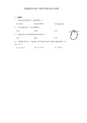 苏教版四年级下册科学期末综合训练.docx