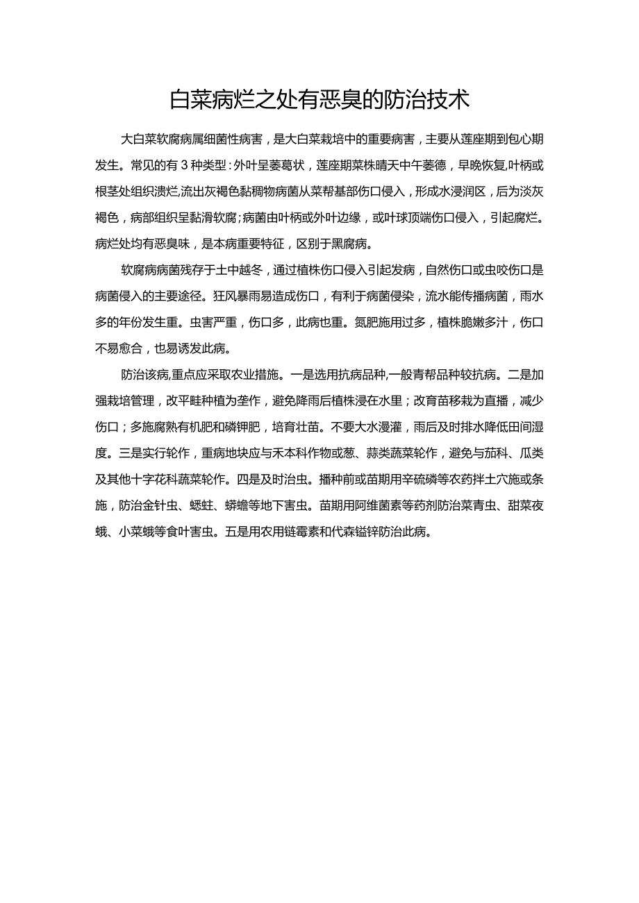 白菜病烂之处有恶臭的防治技术.docx_第1页