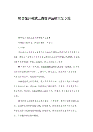 领导在开幕式上直爽讲话稿大全5篇.docx