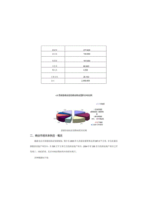 北京市商业调研分析报告.docx