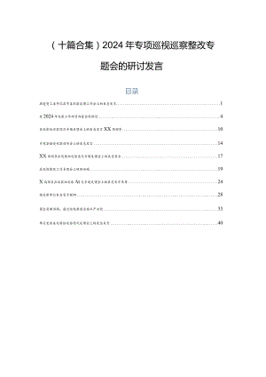 （十篇合集）2024年专项巡视巡察整改专题会的研讨发言.docx