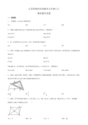 3通用版·江苏省扬州市高邮市期末.docx