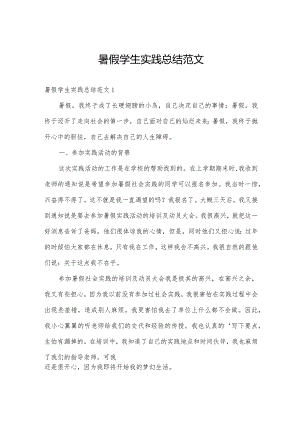 暑假学生实践总结范文.docx